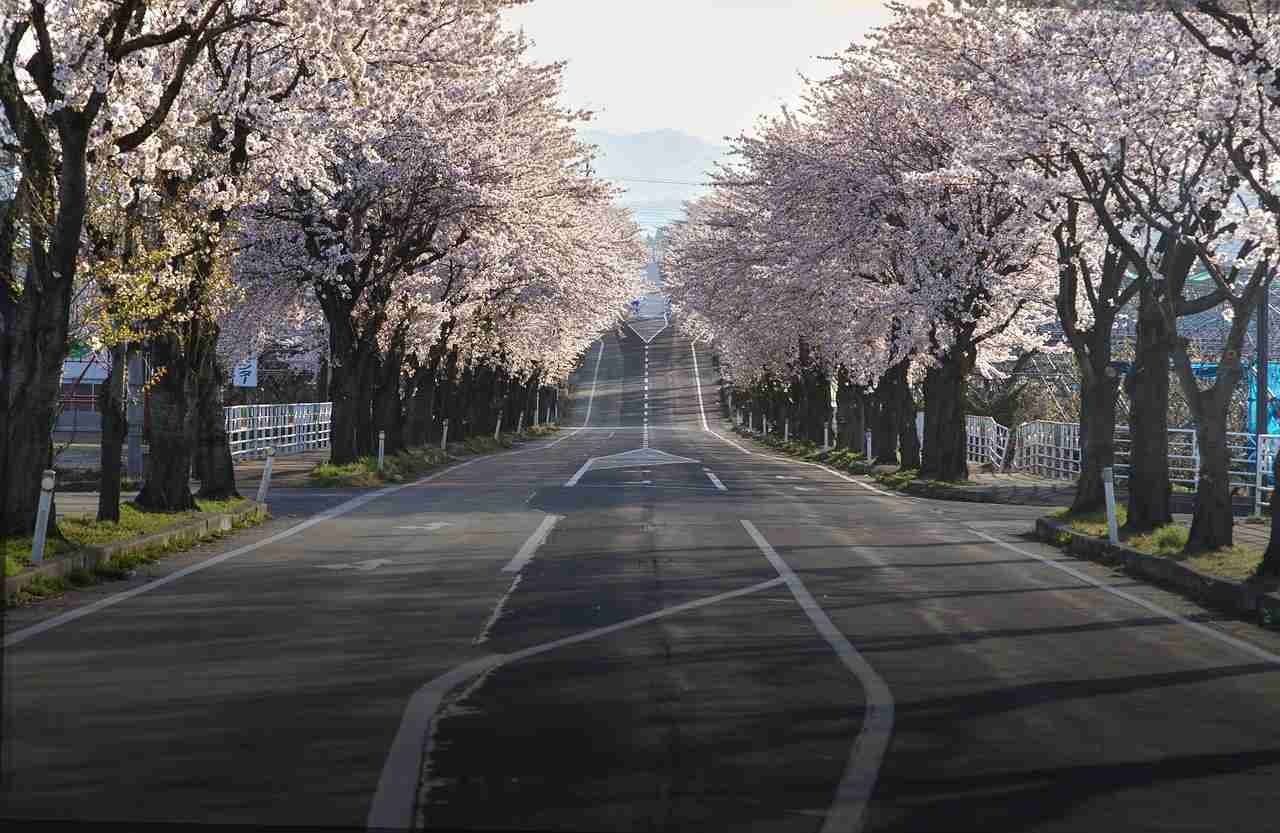 Best Destinations For Spring Travel ?