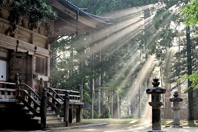 The Perfect 7-Day Japan Itinerary for First-Time Visitors
